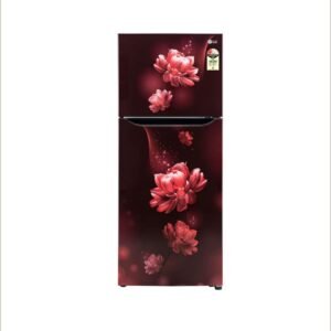 LG 242L Double Door Refrigerator with Smart Inverter Compressor, Multi-Air Flow, Blue Charm, 2 Star GL-N292BSCY