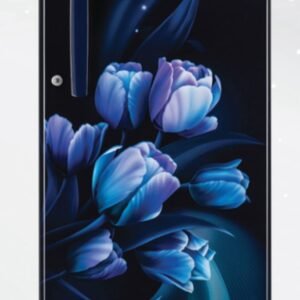 LG 185 L Direct Cool Single Door 1 Star Refrigerator  (Blue Tulip, GL-B199OBTB)