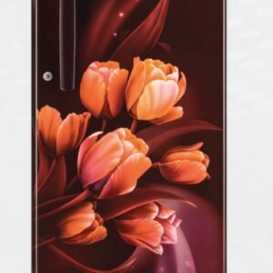 LG 185 L Direct Cool Single Door 1 Star Refrigerator  (Scarlet Tulip, GL-B199OSTB)